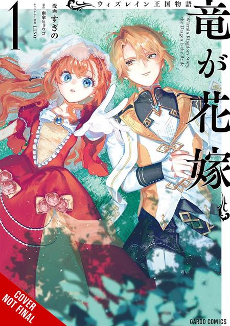 TALE OF THE WIZRAIN KINGDOM THE DRAGON IS THE BRIDE TP VOL 01 11/25/2026
