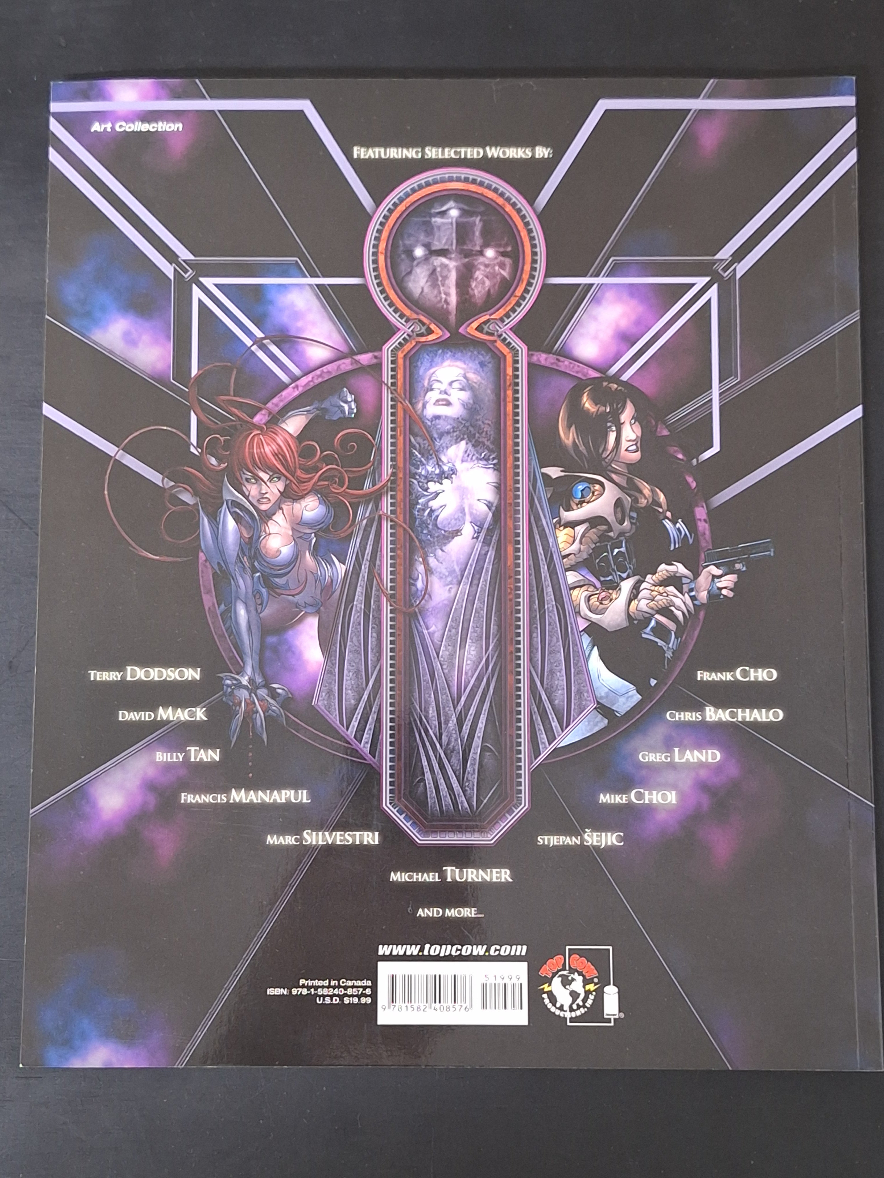 The Art Of Witchblade 2008 Michael Turner Tribute 1st Printing
