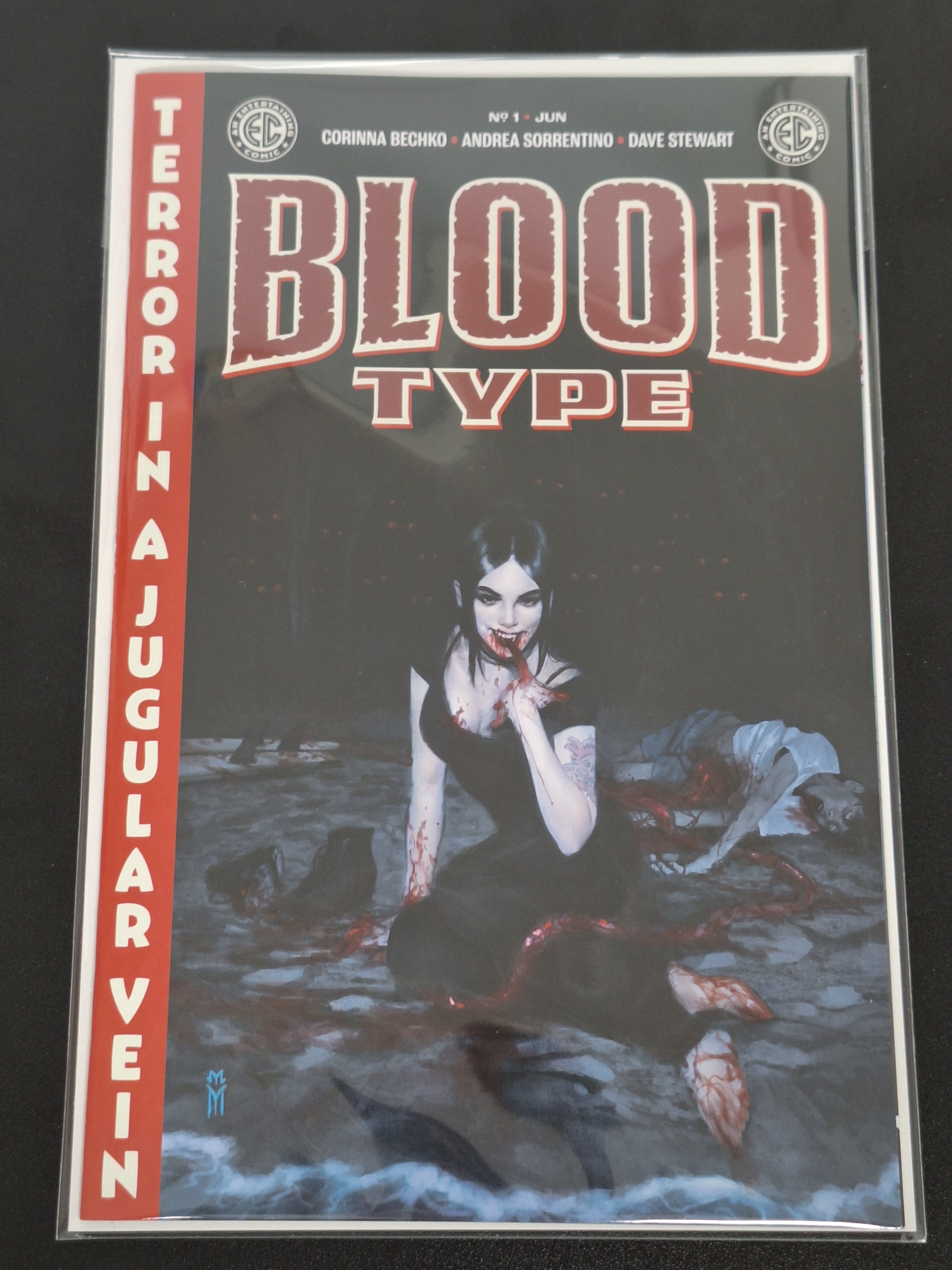 Blood Type 1 EC 2025 Mercado Cover A