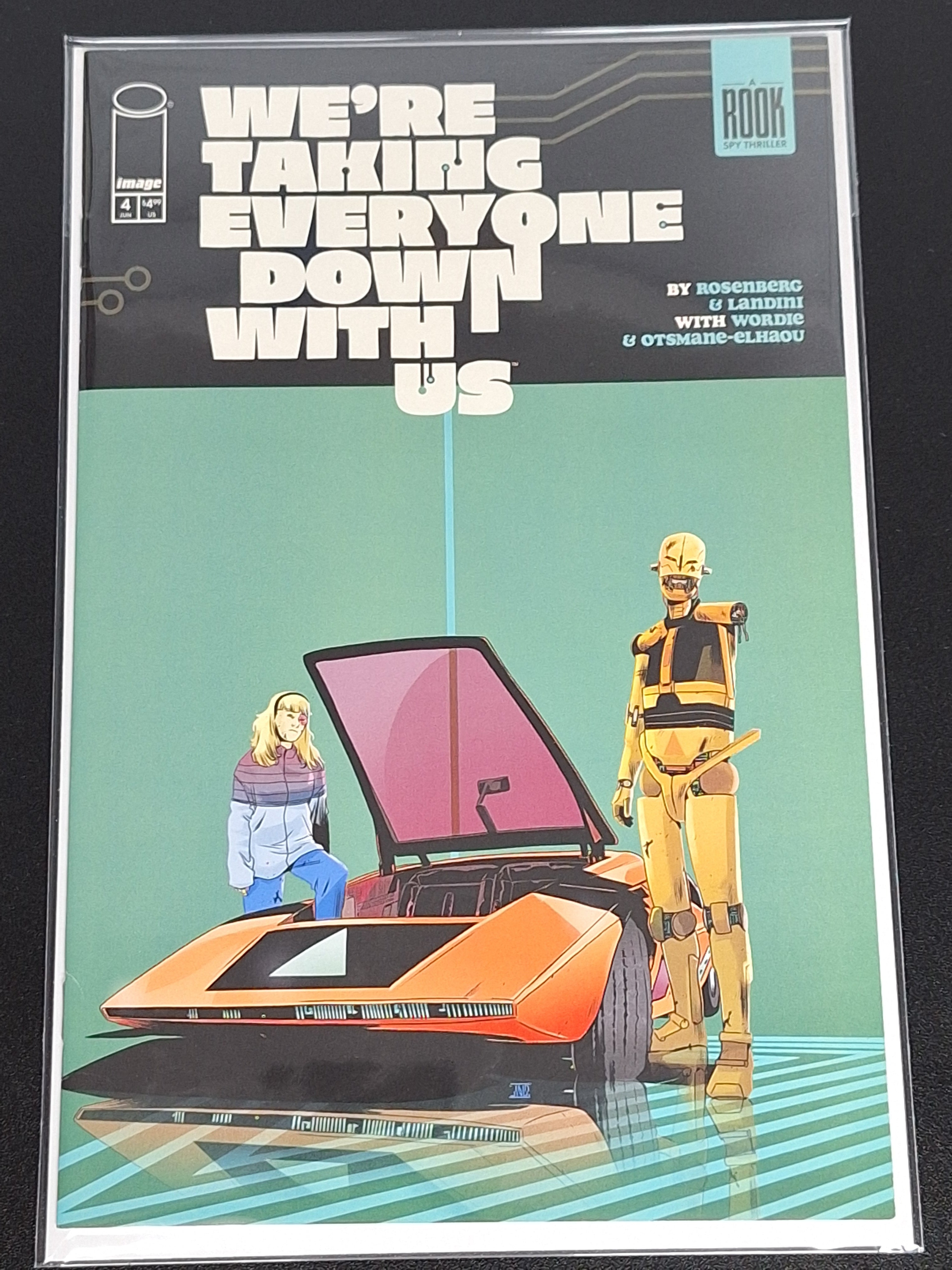 We're Taking Everyone Down With Us 4 Image 2025 Cover A