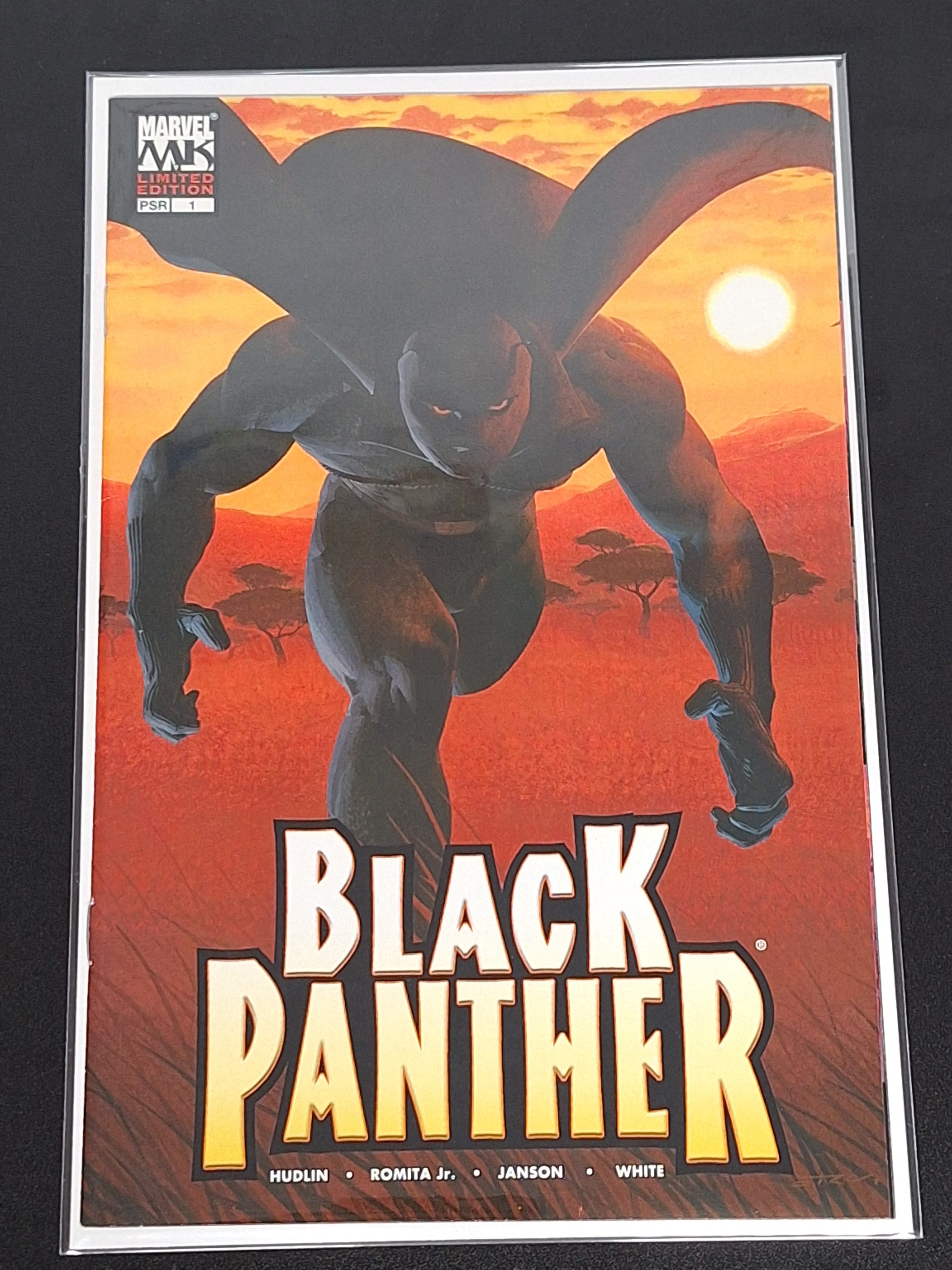 Black Panther 1 Marvel Knights 2005 Esad Ribic Limited Edition Variant