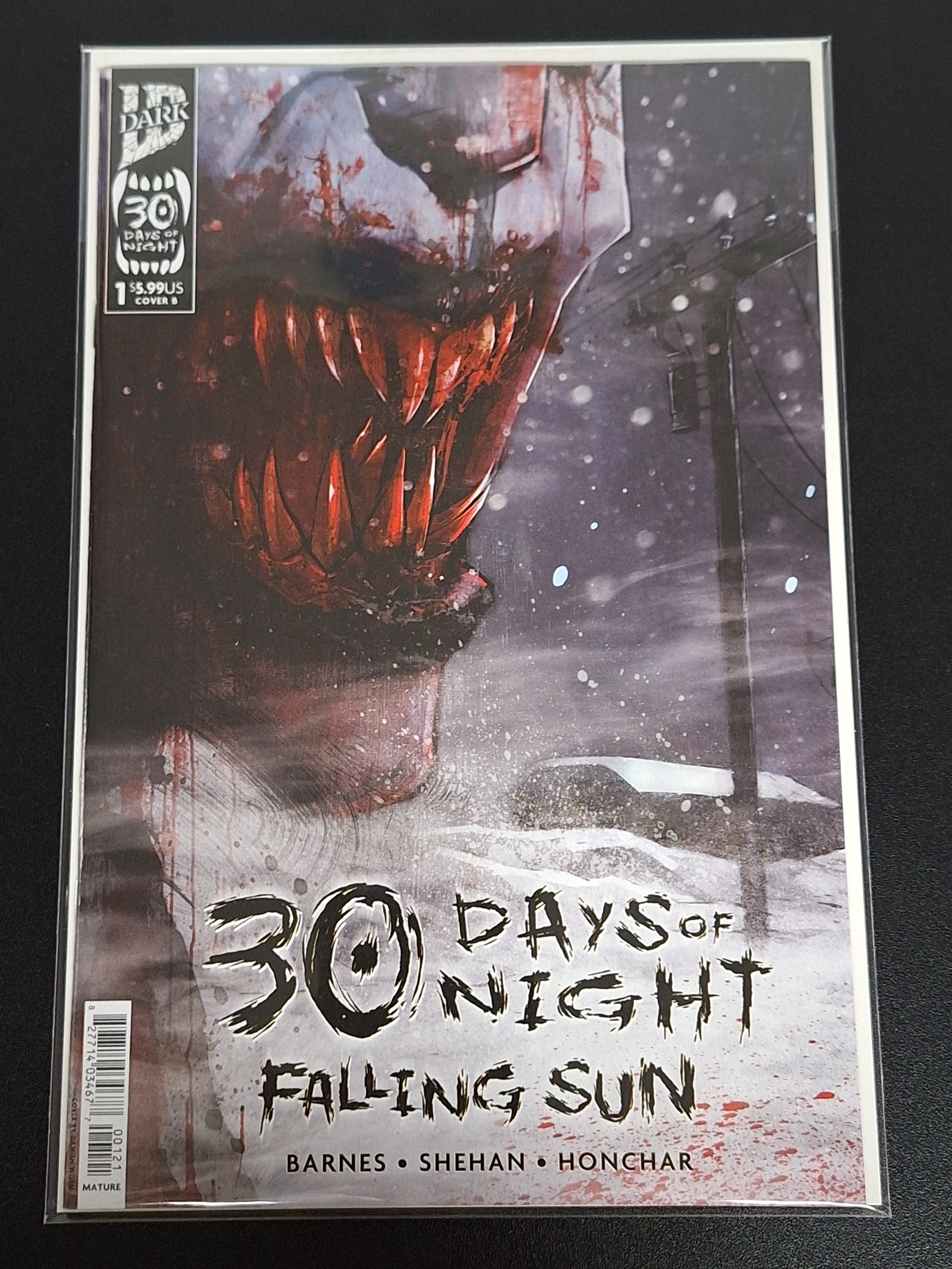 30 Days Of Night Falling Sun 1 IDW 2025 Cover B