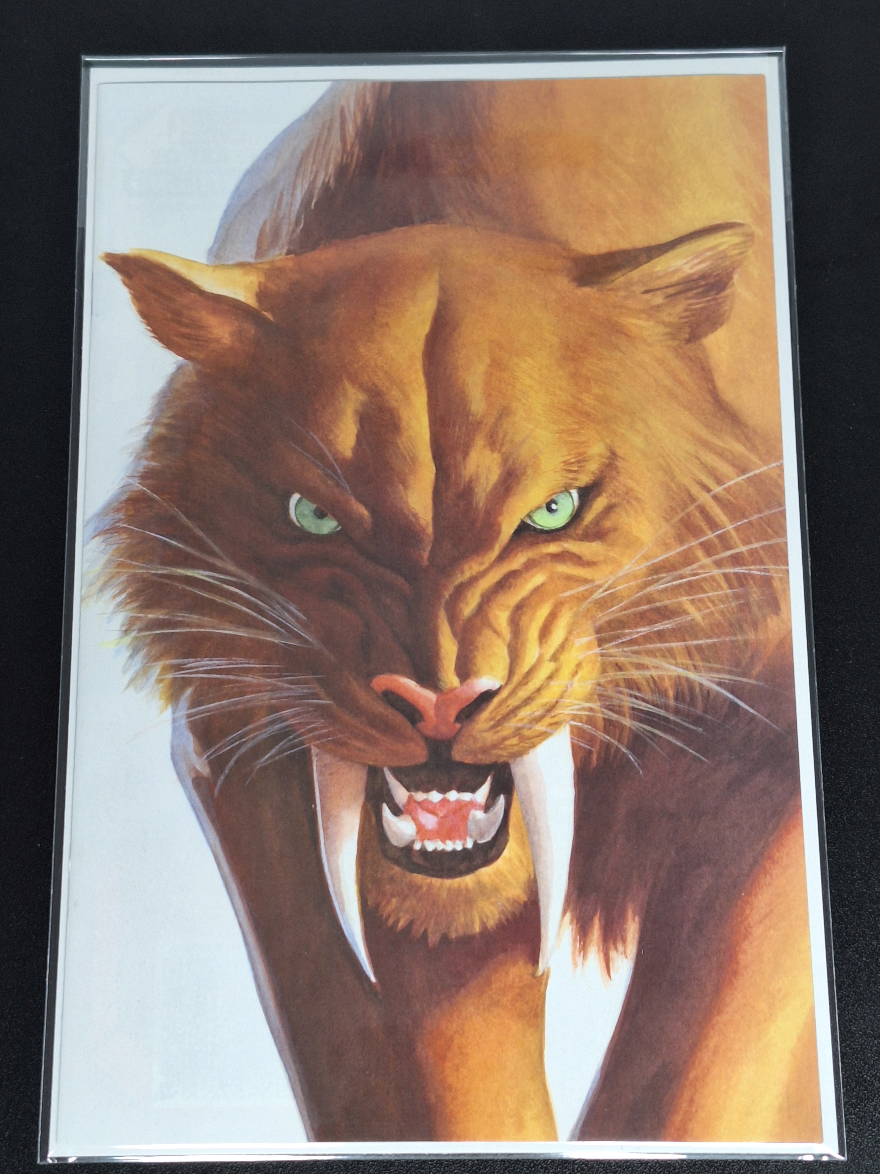 Black Cat 2 Marvel 2025 Alex Ross Timeless Virgin Variant