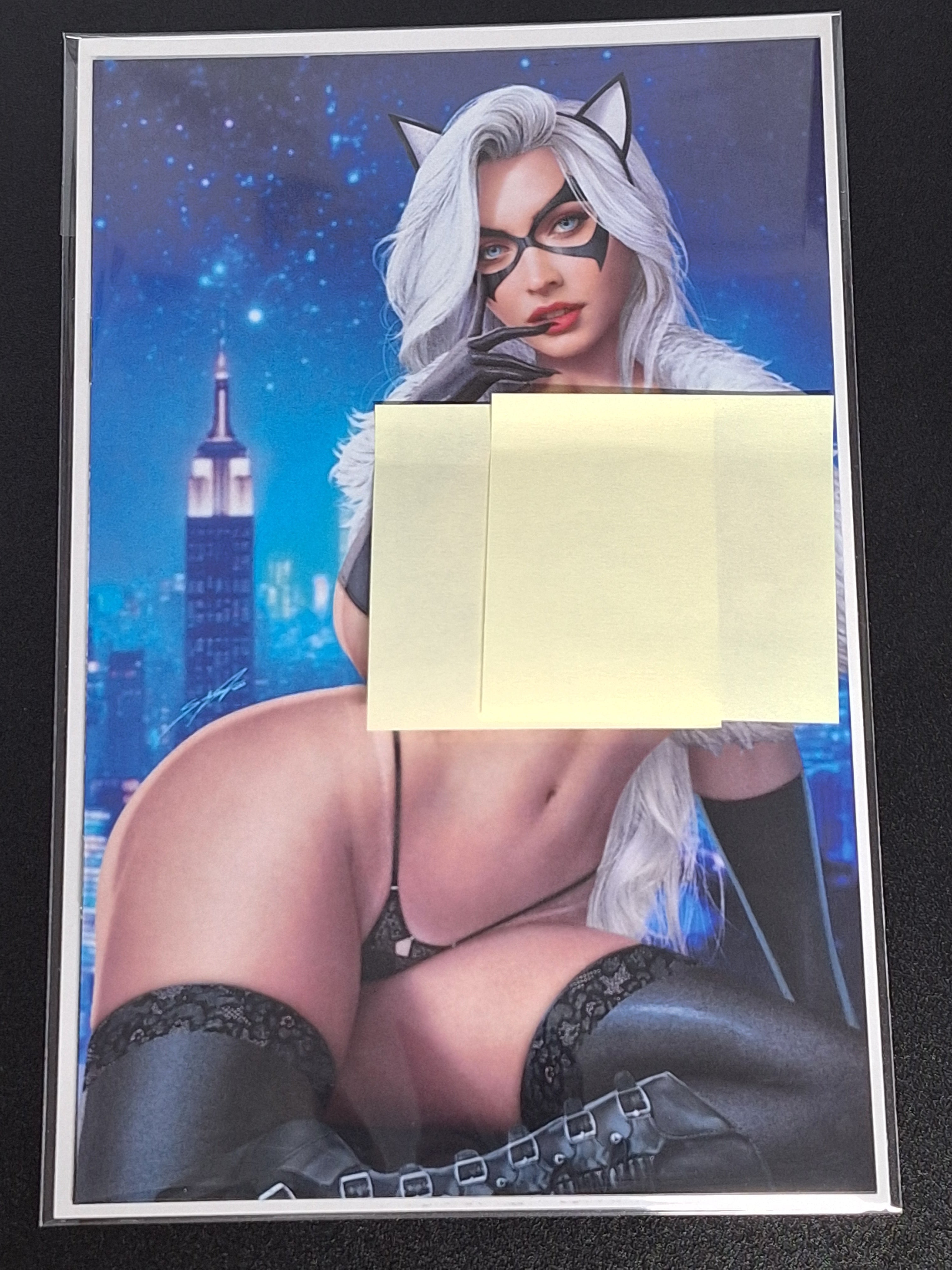 Cool Comics Gallery Exclusive Sidney Augusto Black Cat Risqué Virgin