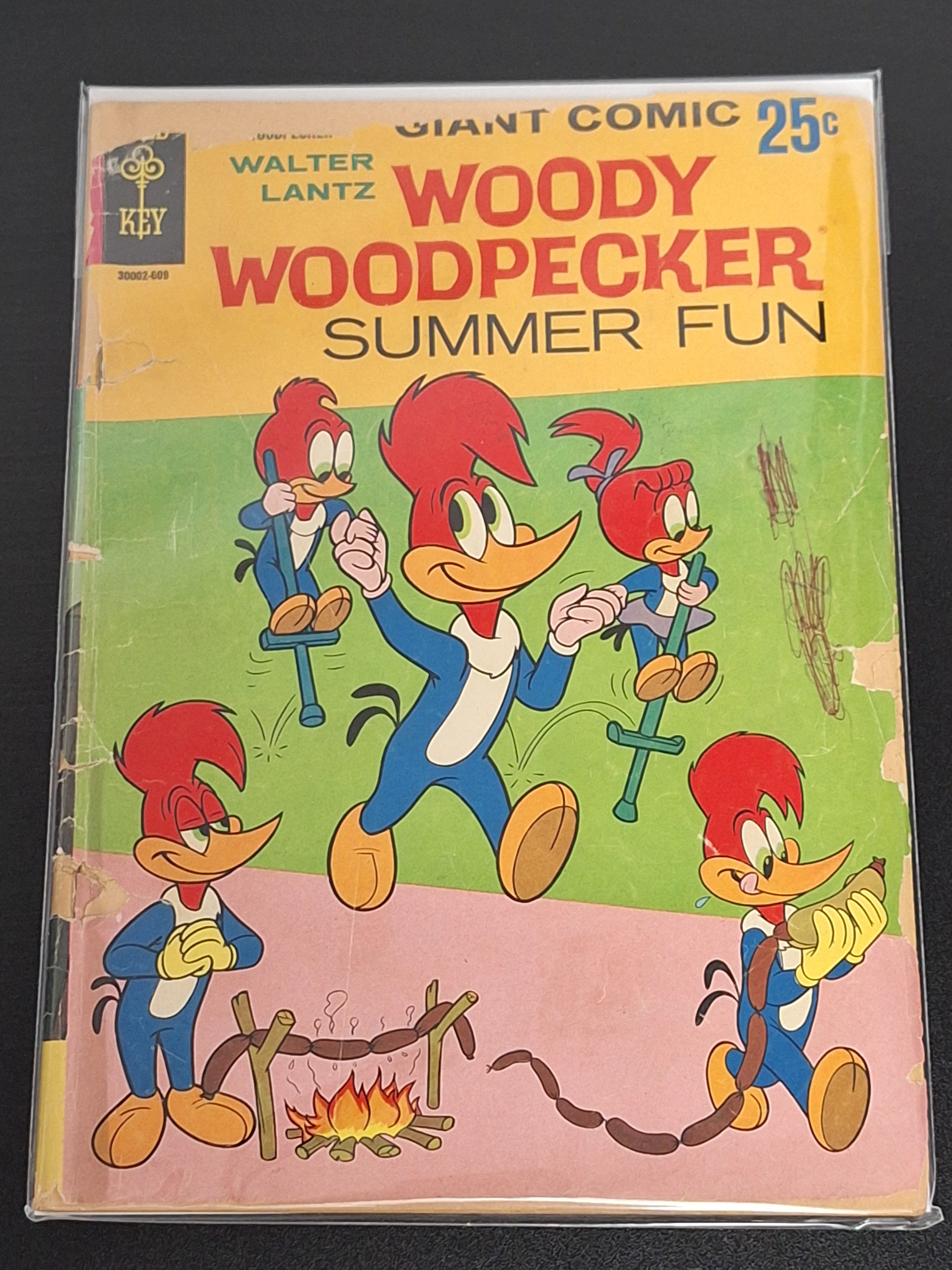 Woody Woodpecker Summer Fun 1 Gold Key 1960 Giant Comic