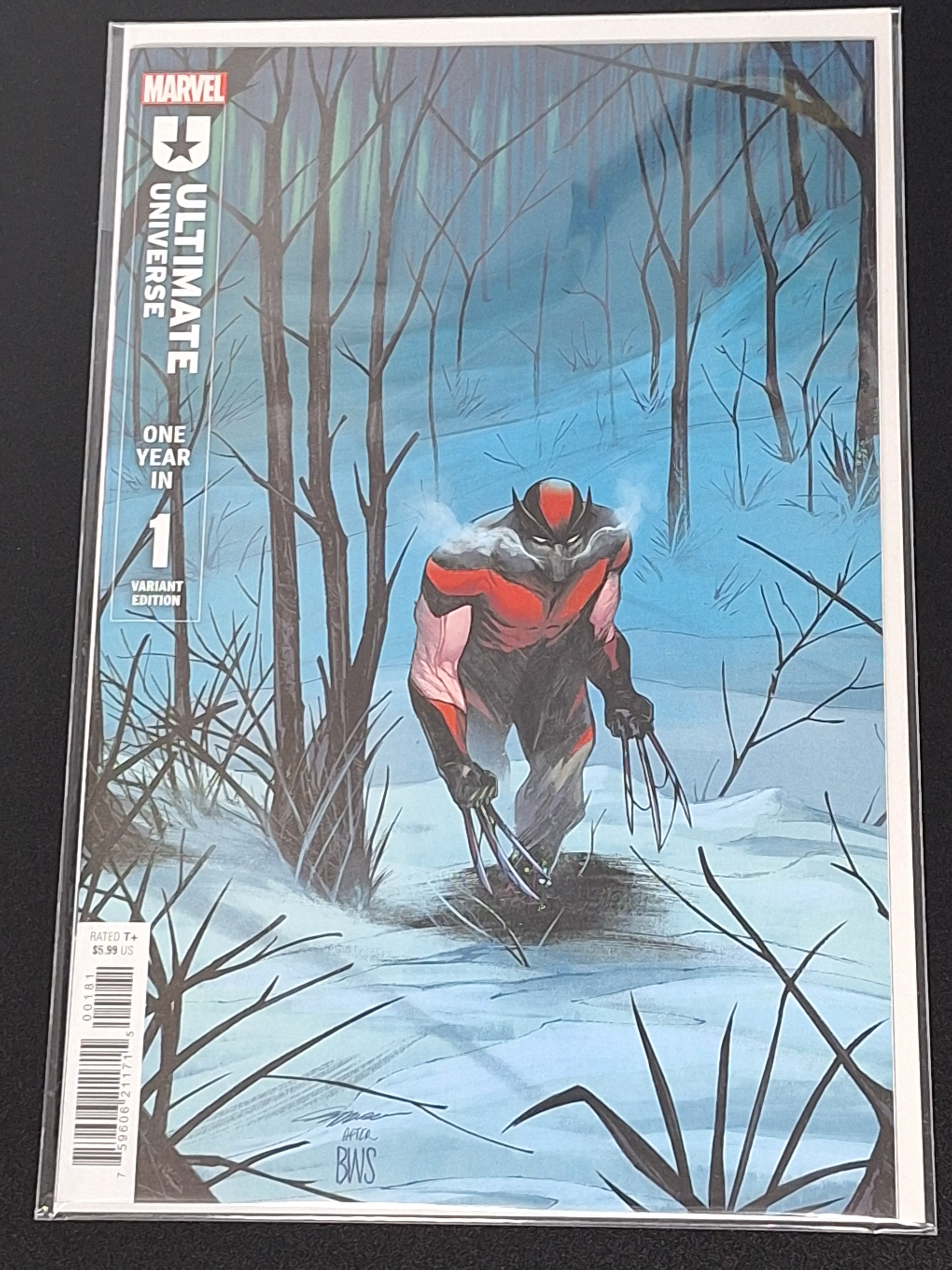 Auction - Ultimate Universe One Year In 1 Spoiler Variant