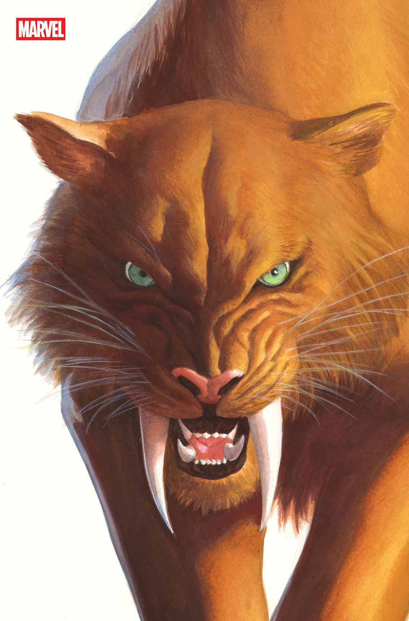 BLACK CAT #2 ALEX ROSS TIMELESS VIRGIN VARIANT 09/24/2025