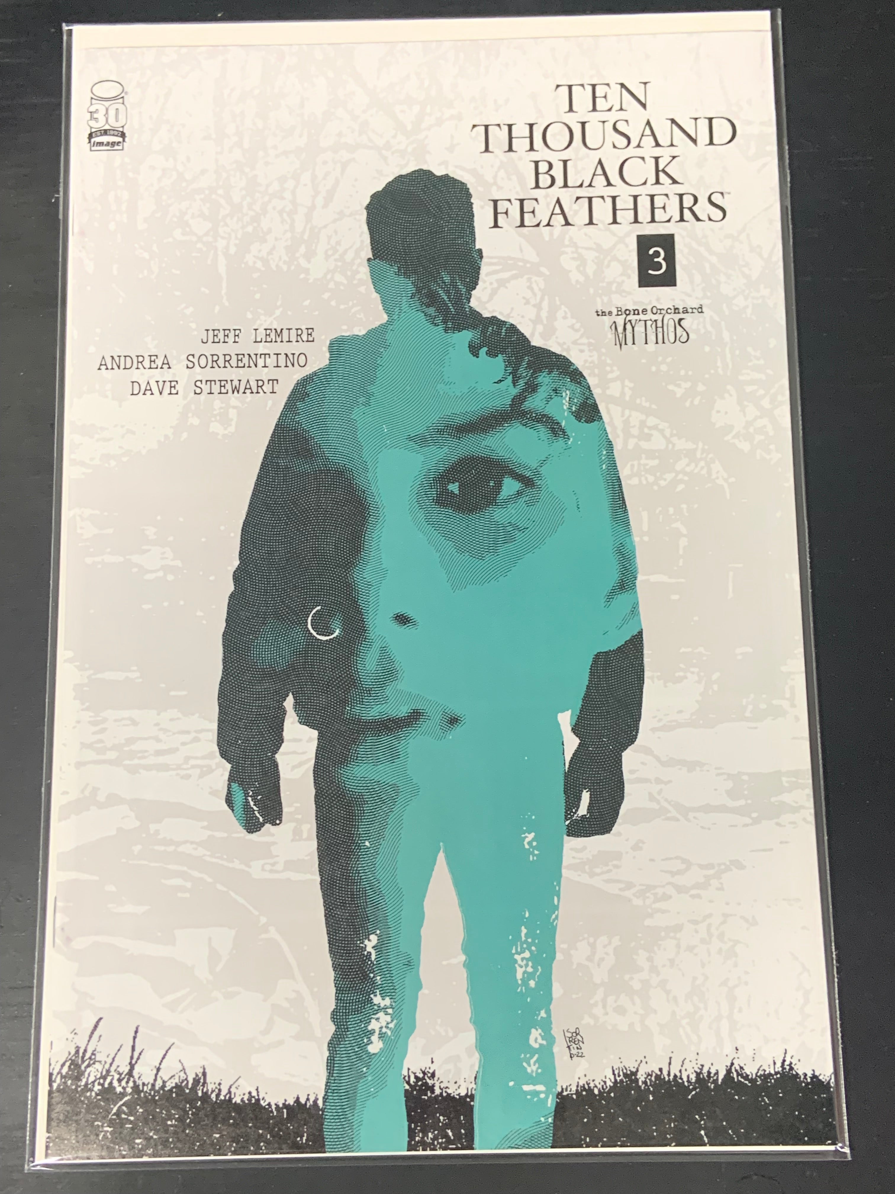 Ten Thousand Black Feathers 3 Image 2022 Cover A Bone Orchard Mythos