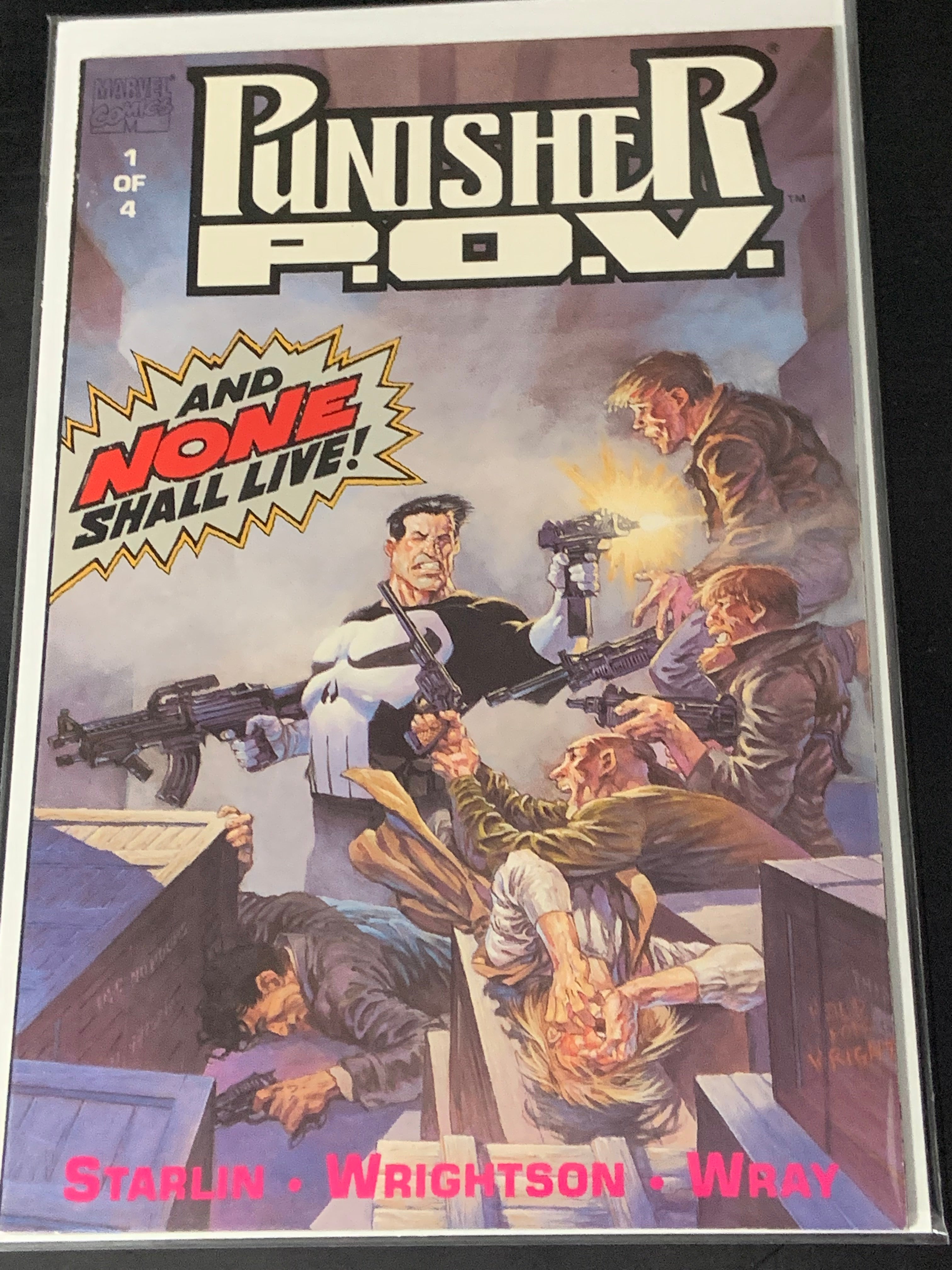 Punisher P.O.V 1 Marvel 1991 Bernie Wrightson Cover & Art