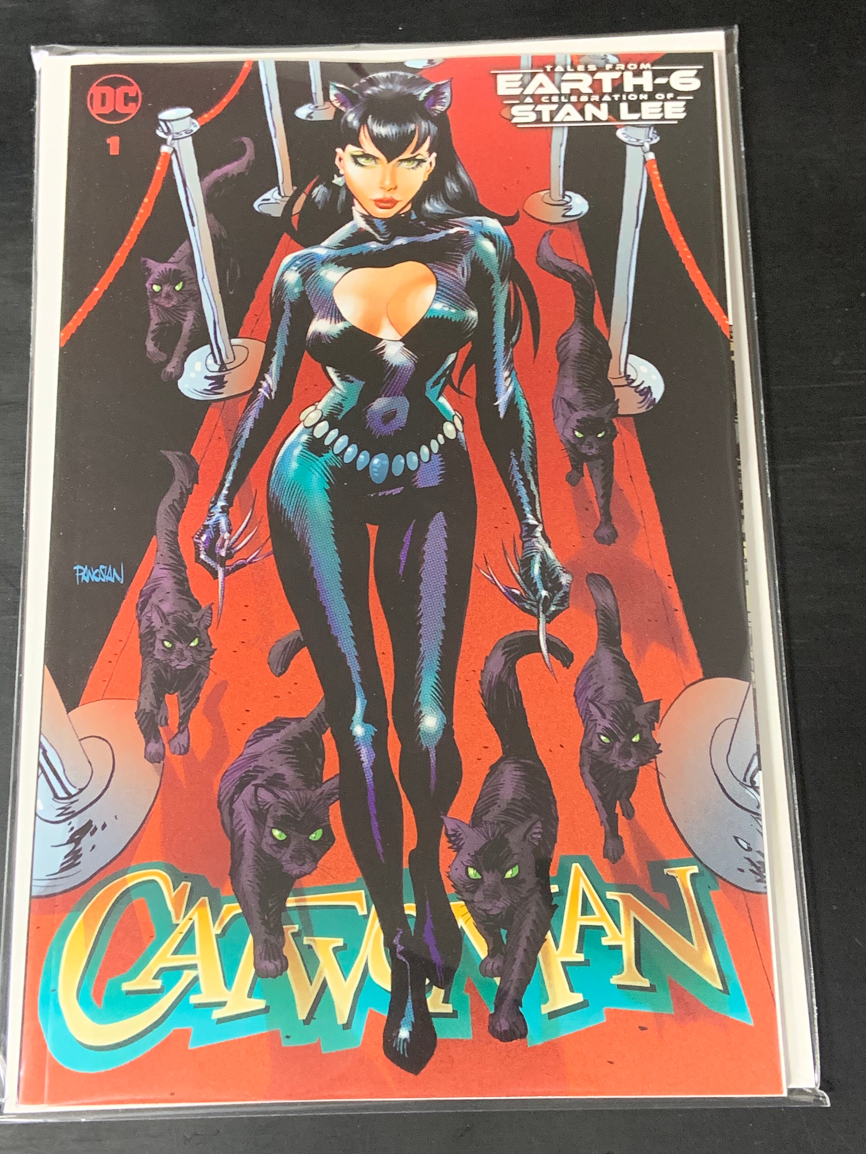 Tales from Earth-6 a Celebration of Stan Lee 1 DC 2022 Dan Panosian Variant