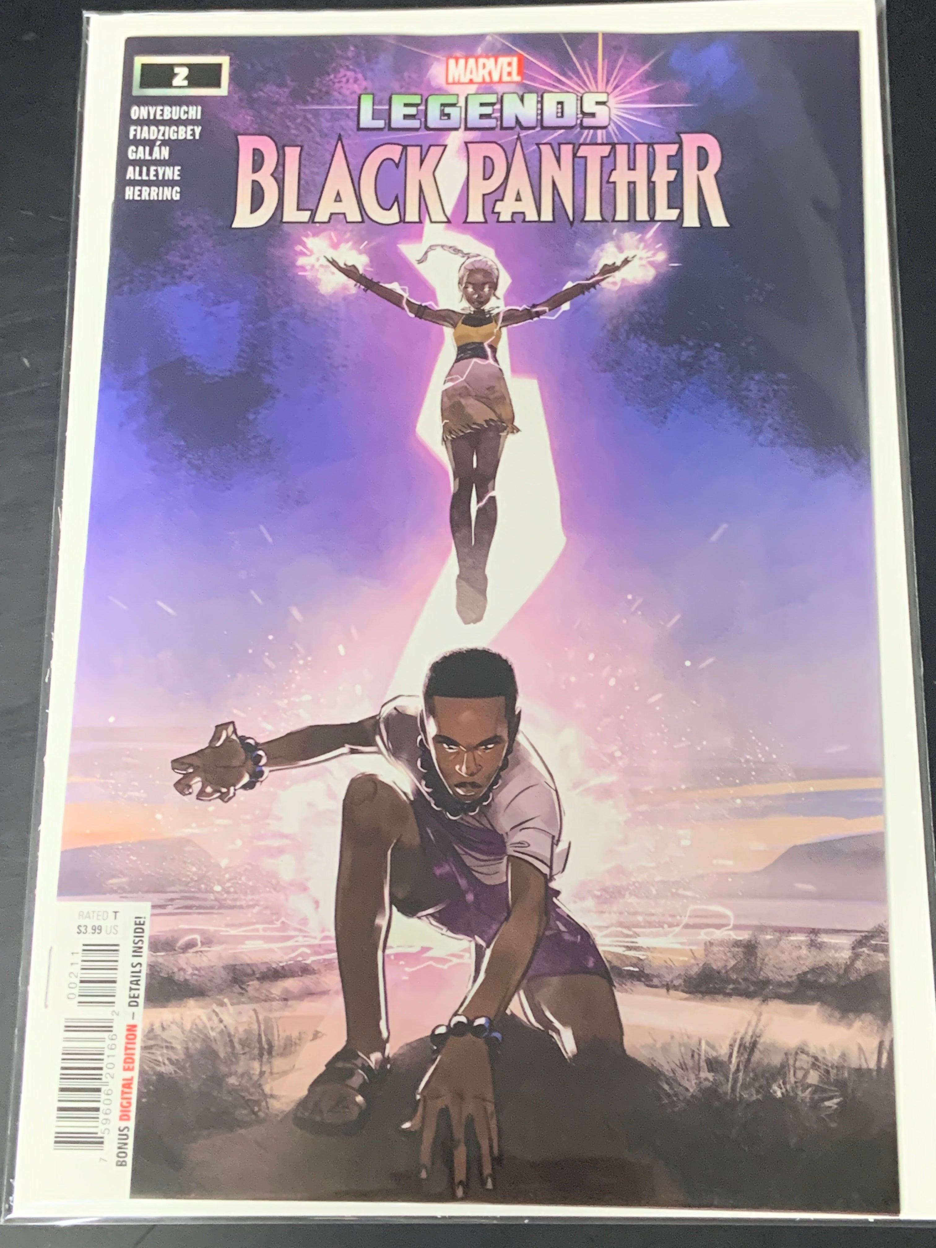 Black Panther Legends 2 Marvel 2022