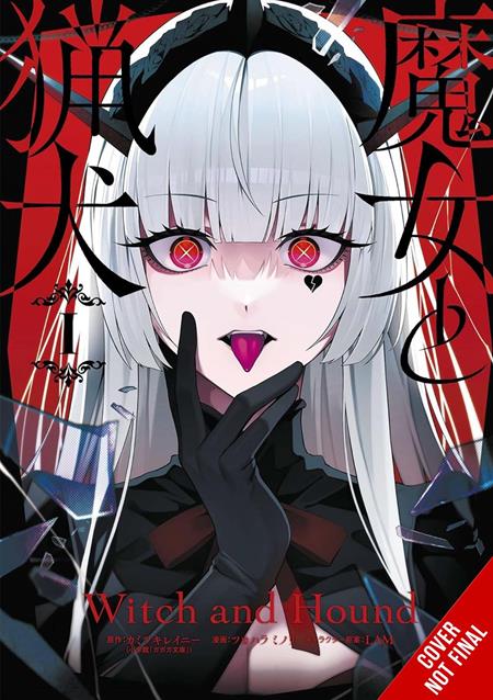 WITCH AND HOUND TP VOL 01 11/25/2026