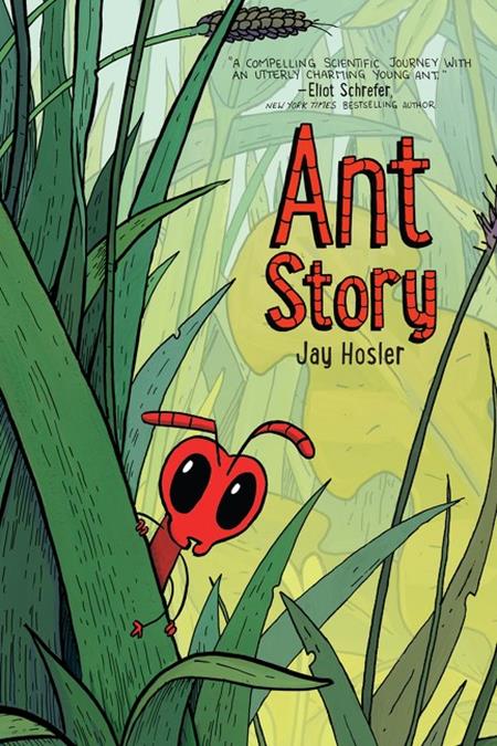ANT STORY TP 12/2/2026