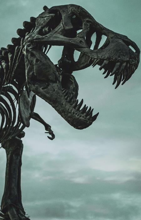 BIG BUNDLE OF DINOSAURS READER PACK (BUNDLE OF 8) 12/2/2026
