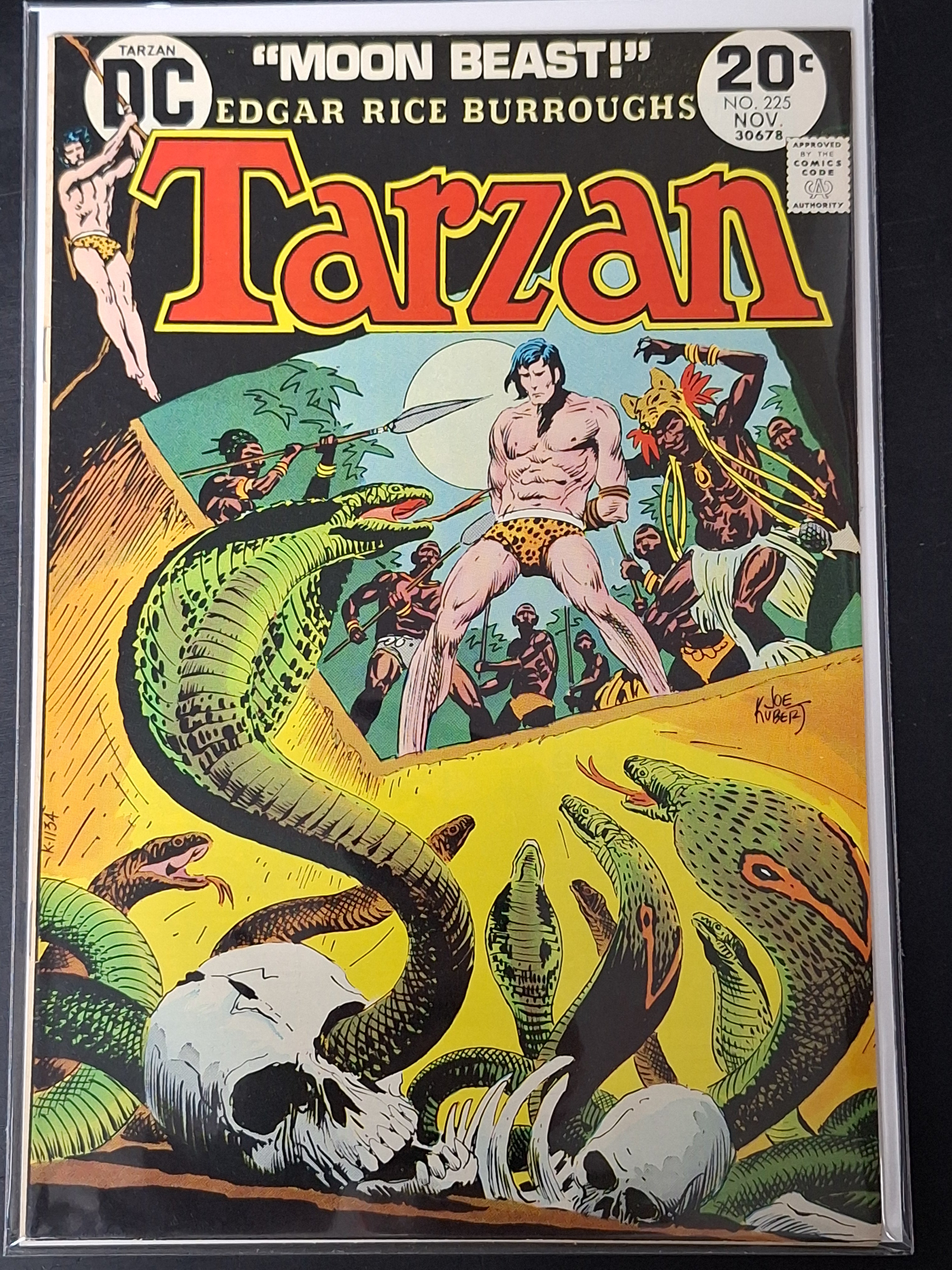 Tarzan 225 DC 1973 Classic Joe Kubert Snake Pit Cover