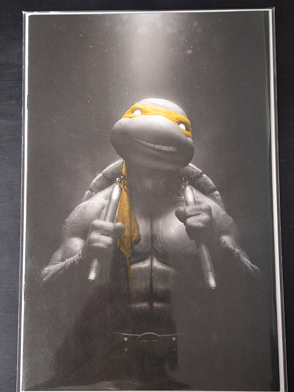 Teenage Mutant Ninja Turtles #2 Jay Ferguson Virgin Exclusive