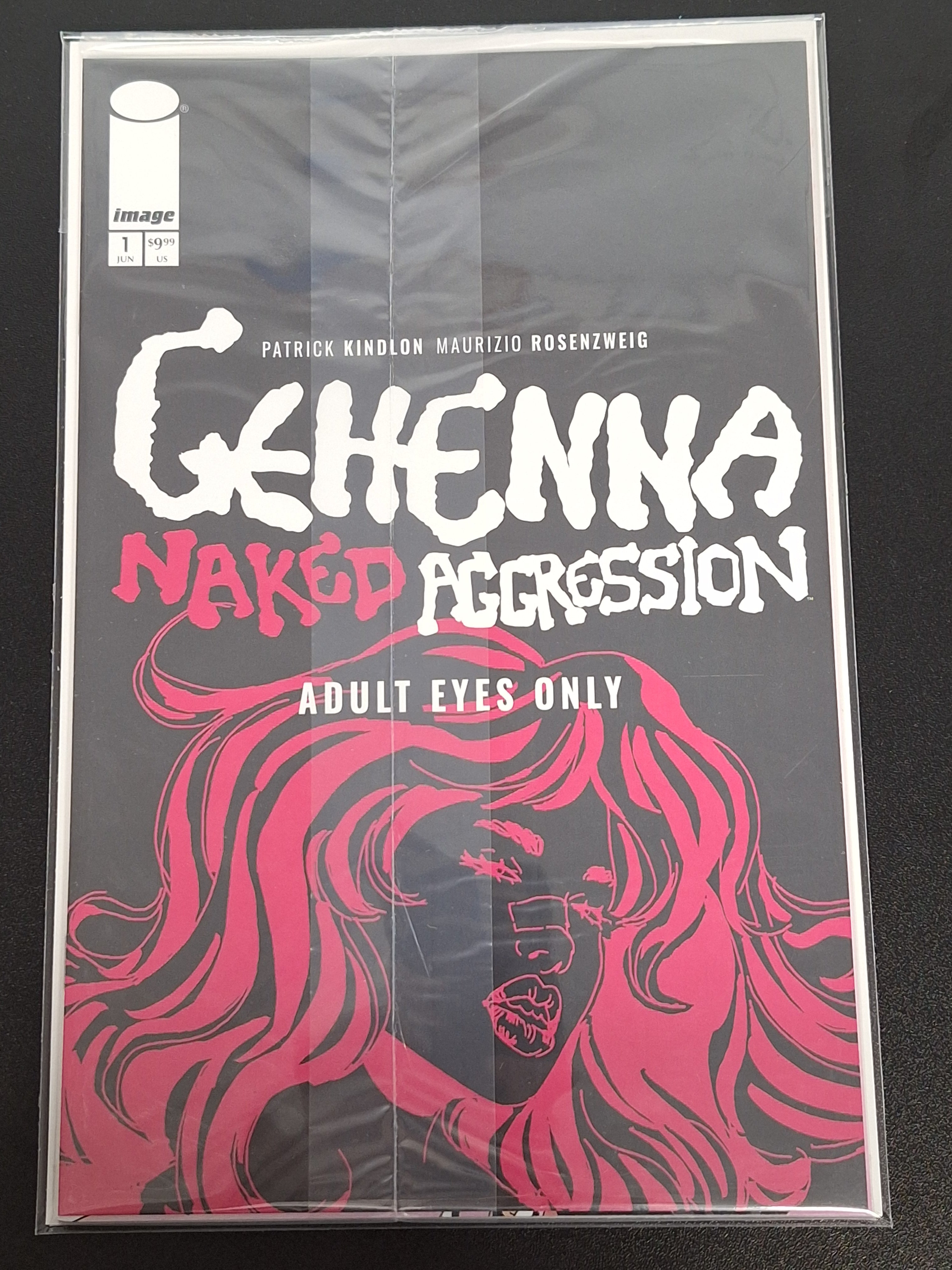 Gehenna Naked Aggression 1 Image 2025 Maria Llovet Polybagged Variant