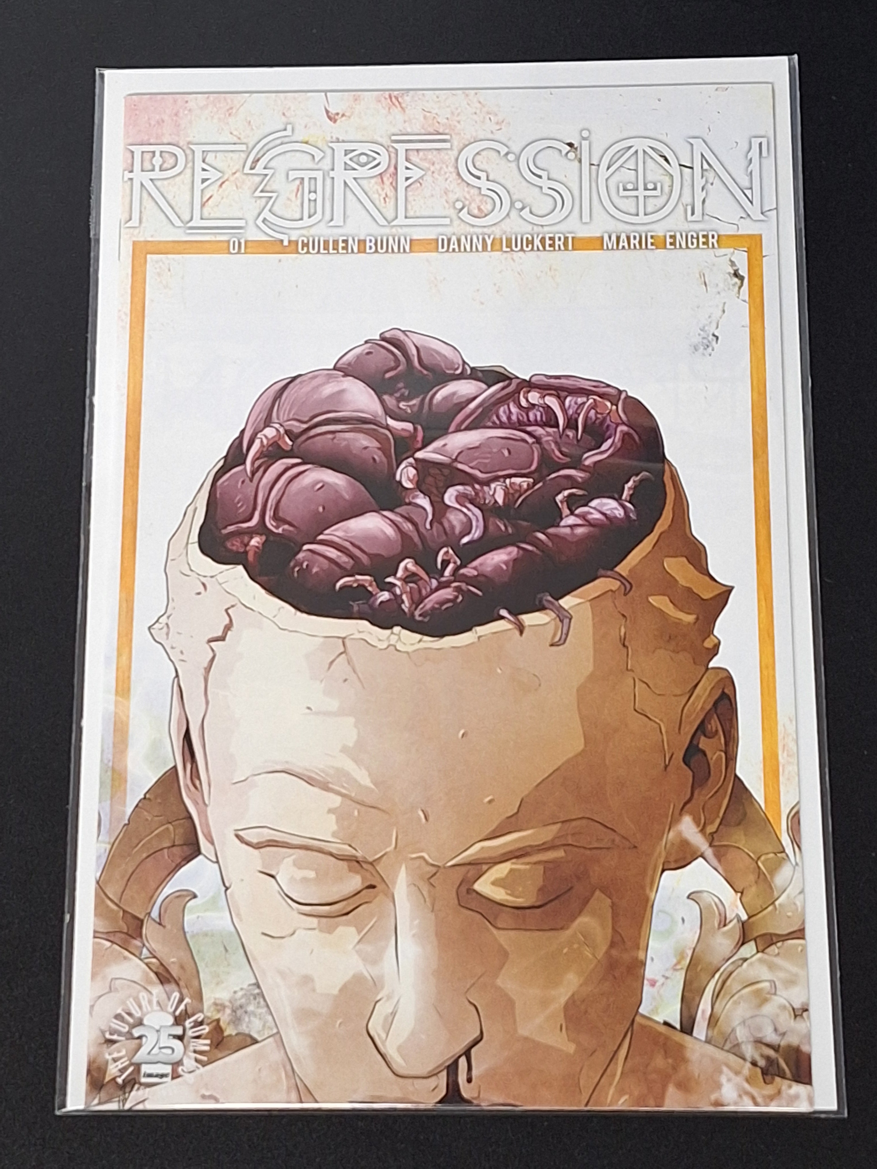 Regression 1 Image 2017 25th Anniversary Blind Box Variant
