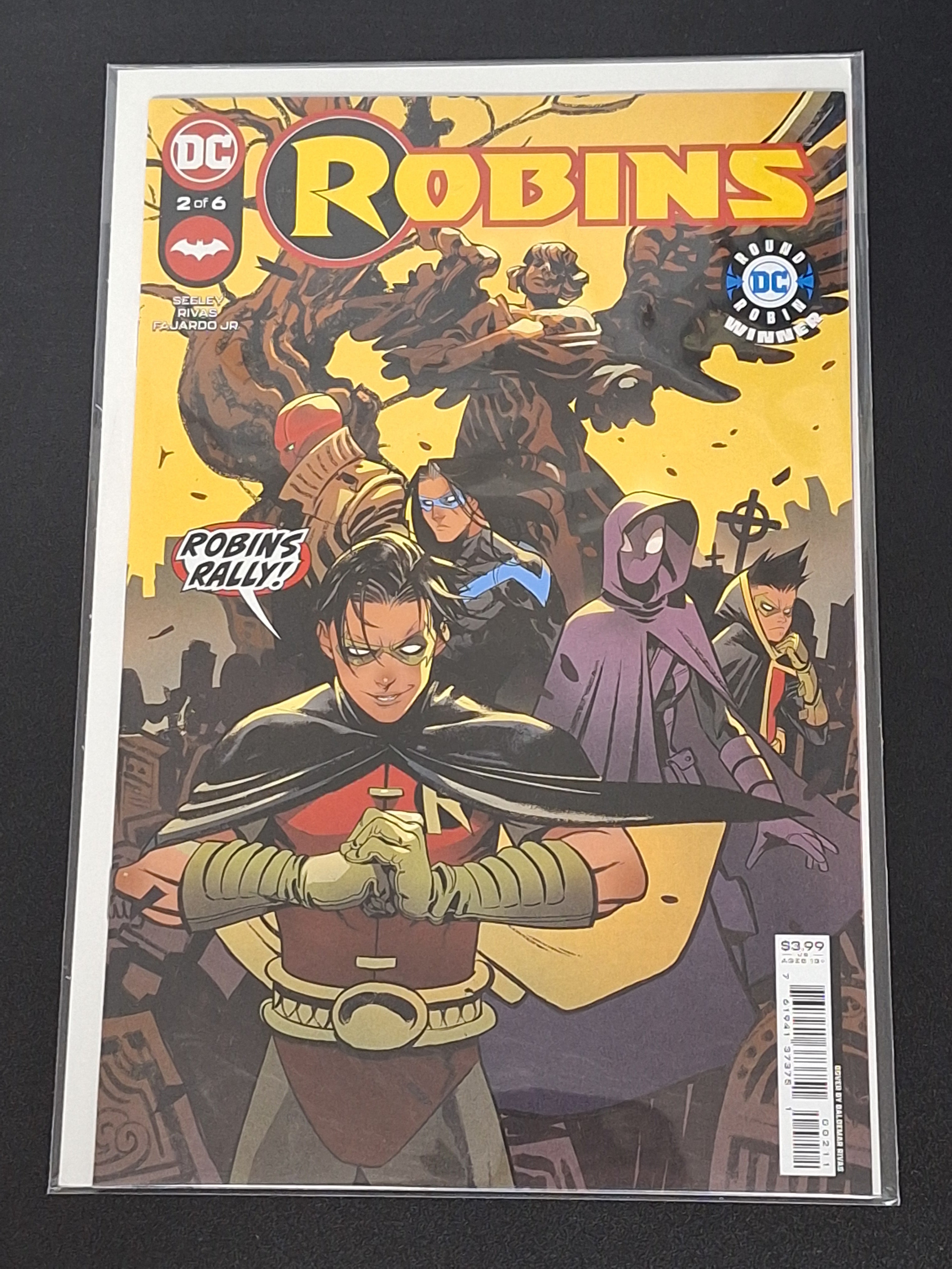 Robins 2 DC 2022 Cover A 2nd Cameo of New Female Robin
