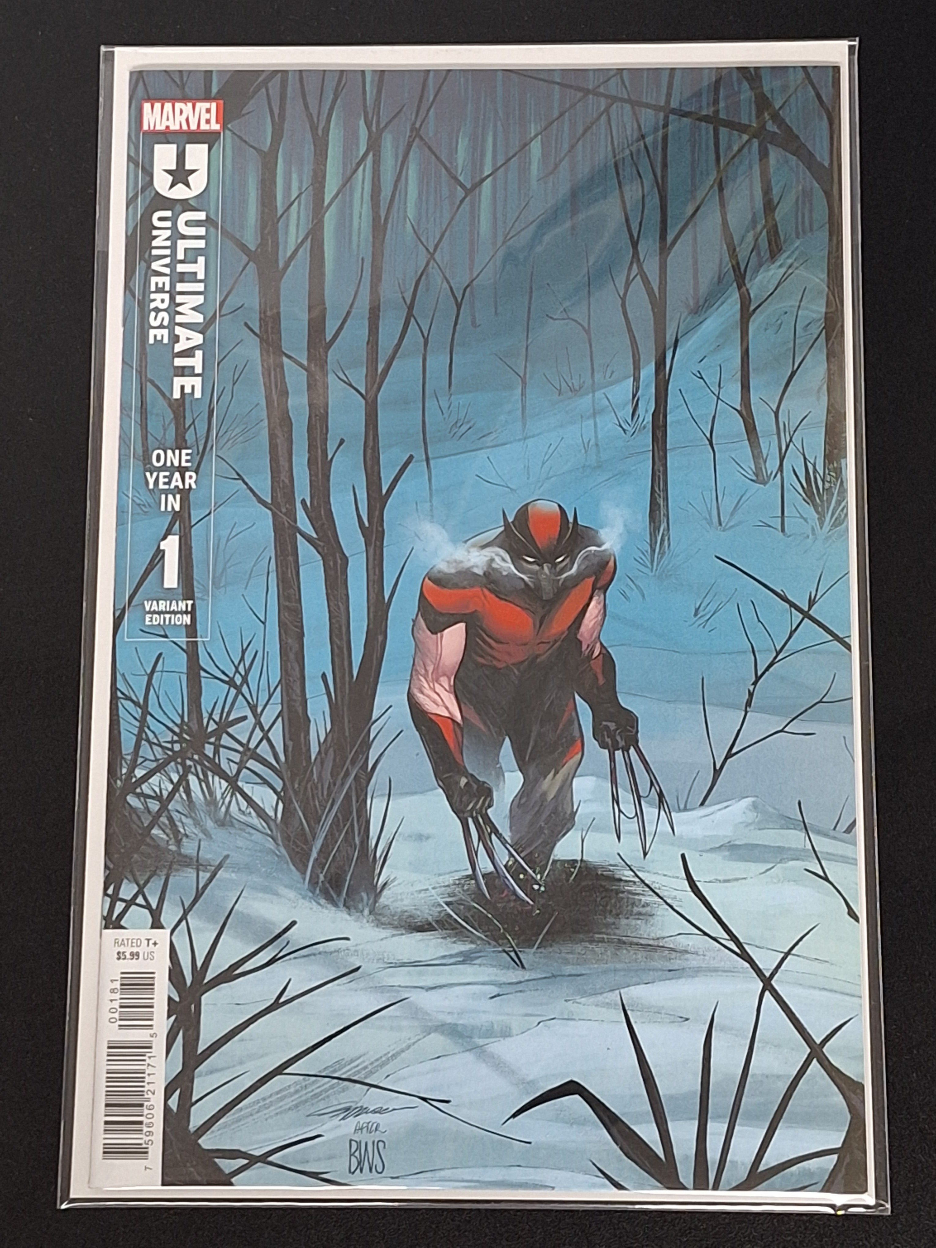 Auction - Ultimate Universe One Year In 1 Spoiler Variant