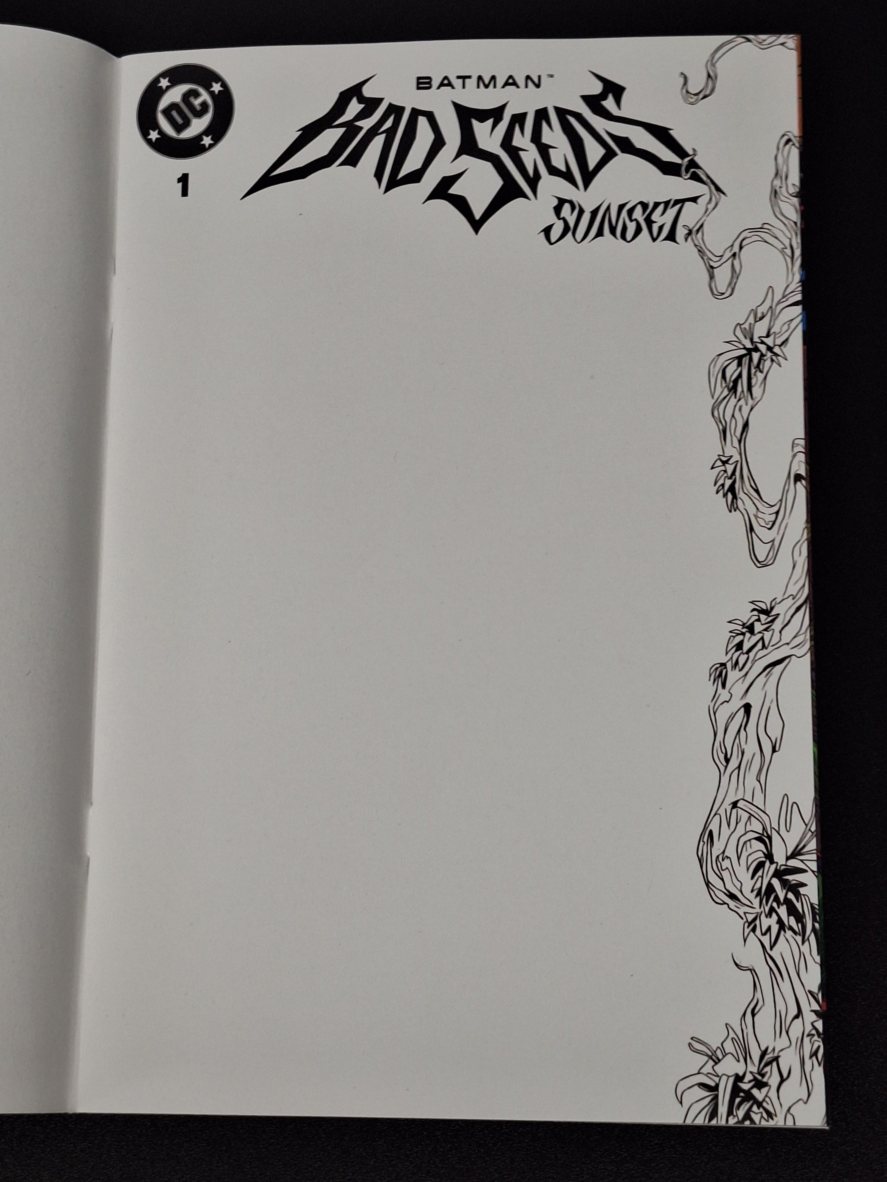 Batman Bad Seeds: Sunset 1 DC 2026 Blank Sketch Variant