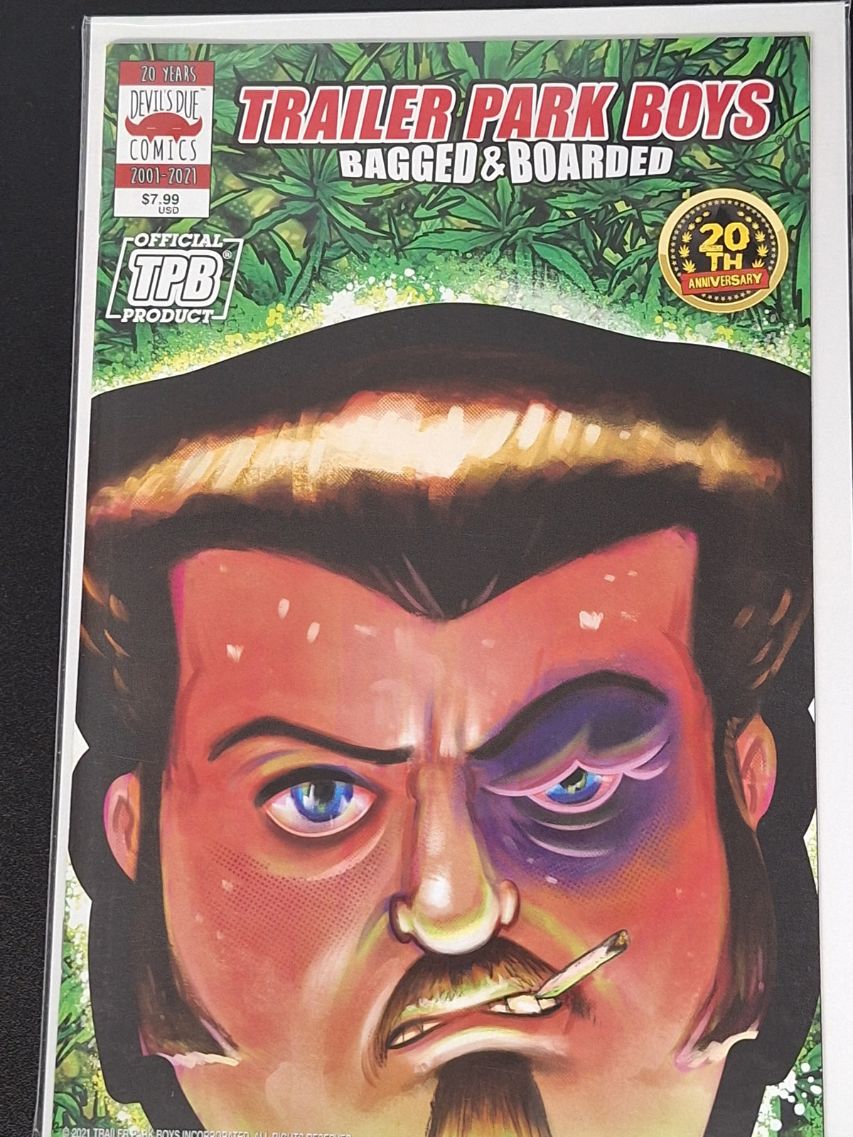 Trailer Park Boys: Bagged & Boarded 1 Devil's Due Comics 2021 1st Series Cover C