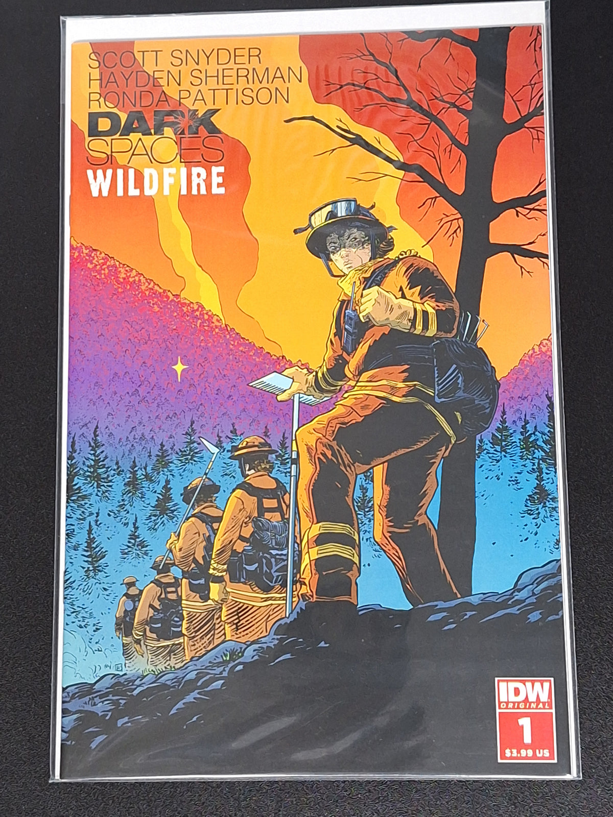 Dark Spaces Wildfire 1 IDW 2022 2nd Printing Scott Snyder