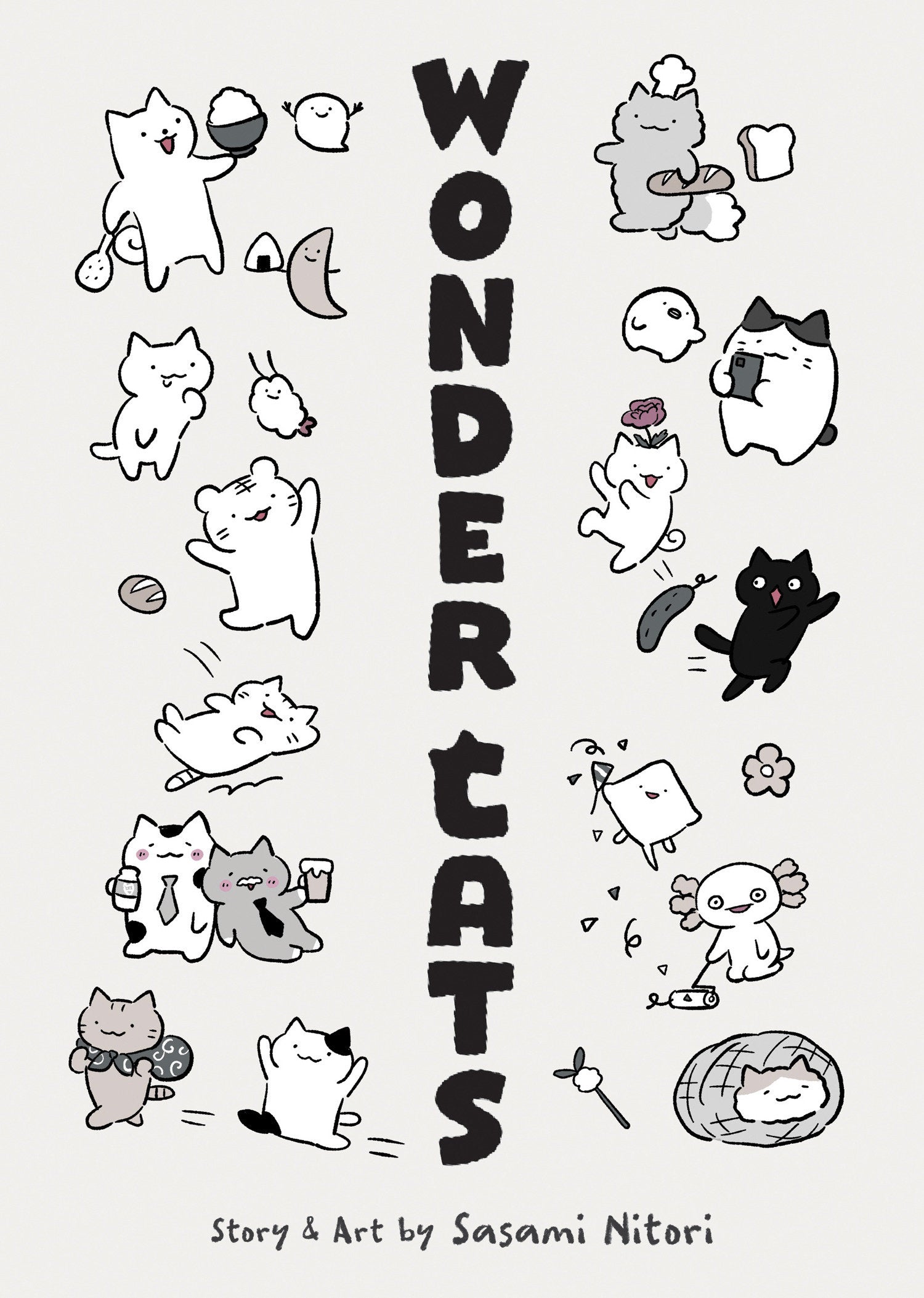 WONDER CATS 07/28/2026