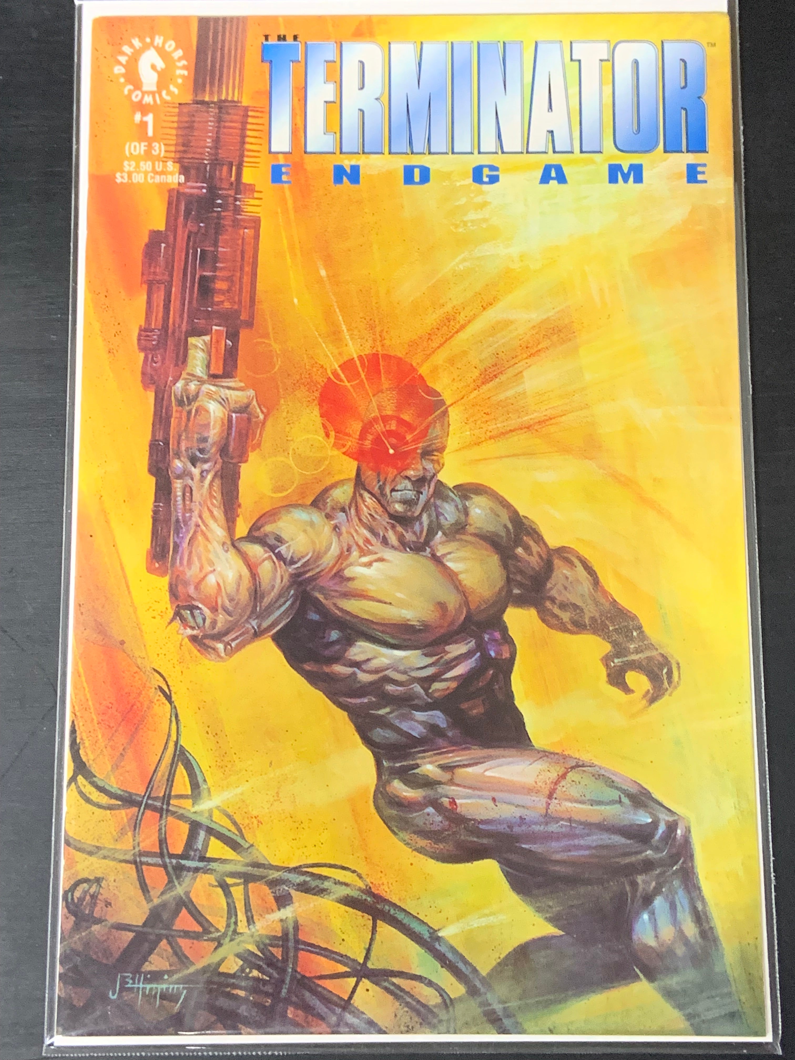 The Terminator Endgame 1 Dark Horse Comics 1992