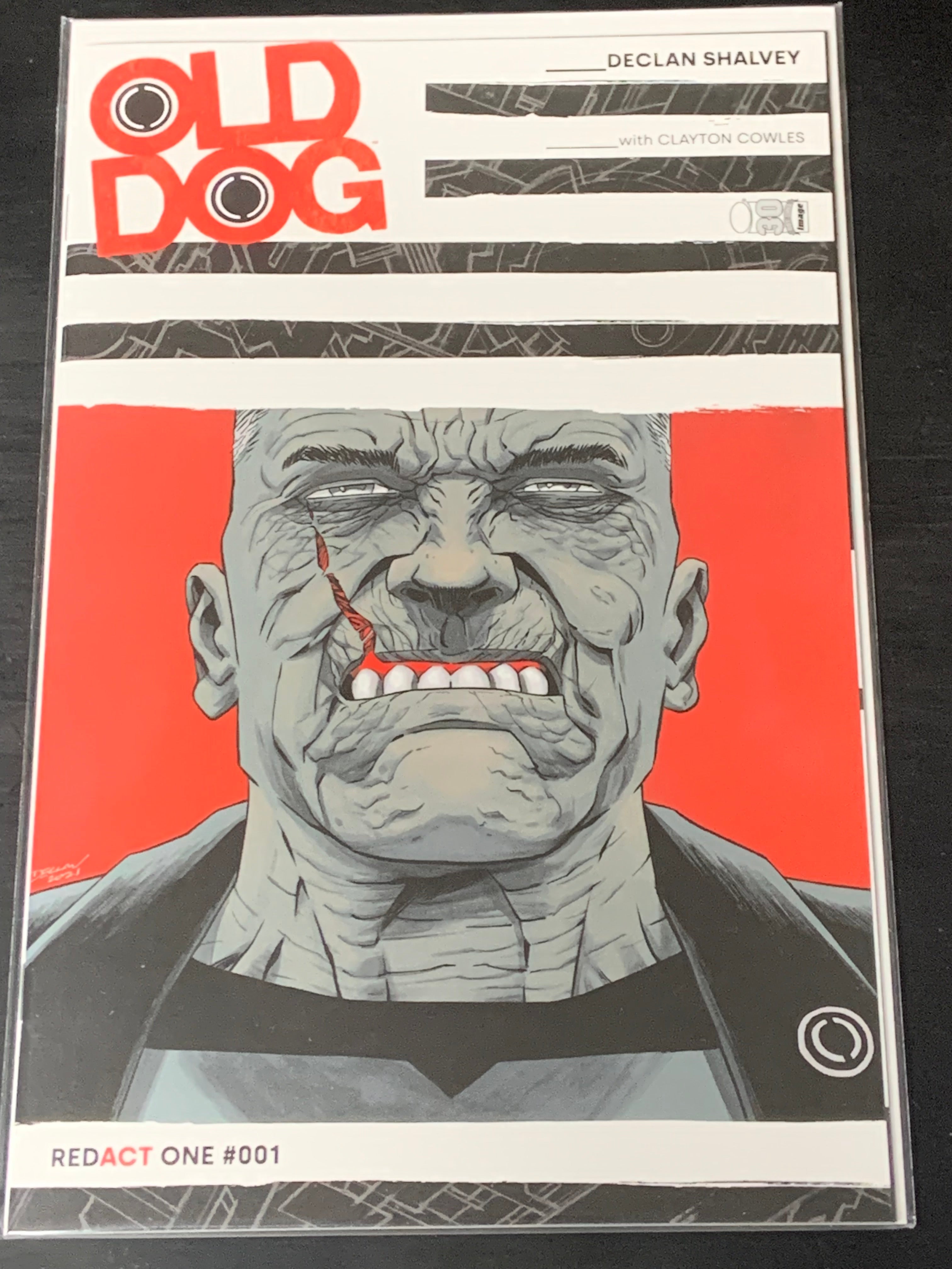 Old Dog 1 Image 2022