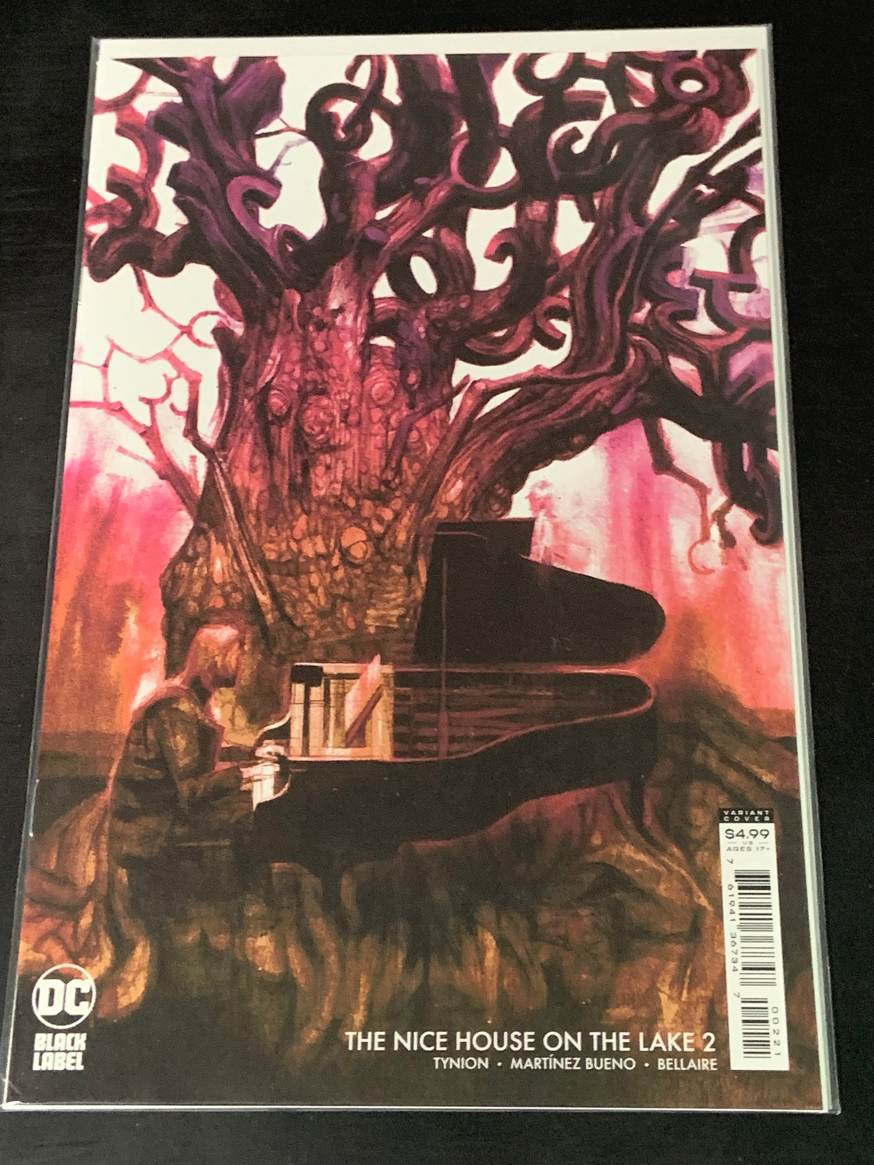Nice House on the Lake 2 2021 Cover B 1st Print