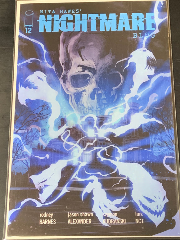 Nita Hawes' Nightmare Blog 12 Image 2023 Cover A