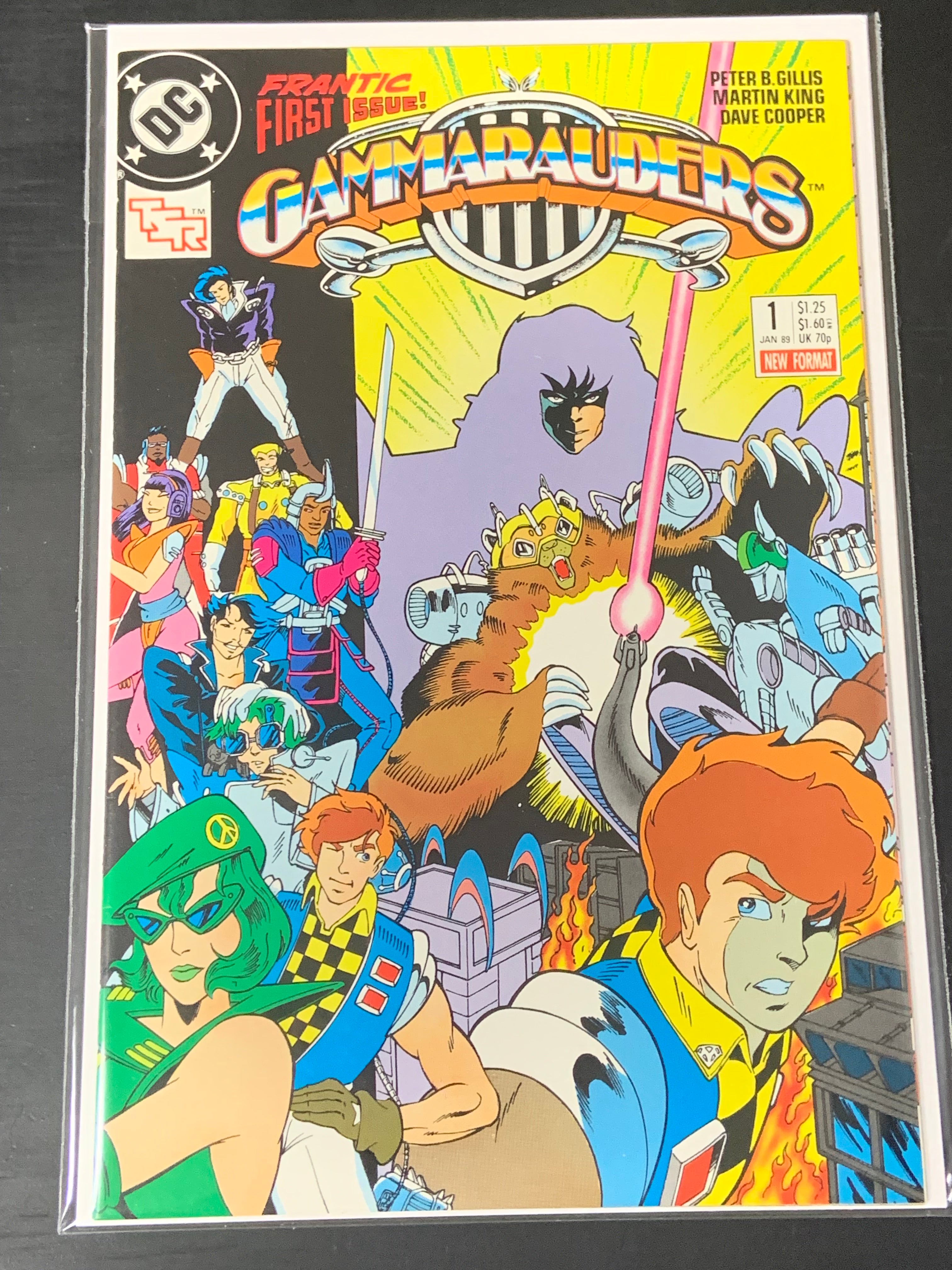 Gammarauders 1 DC TSR 1989