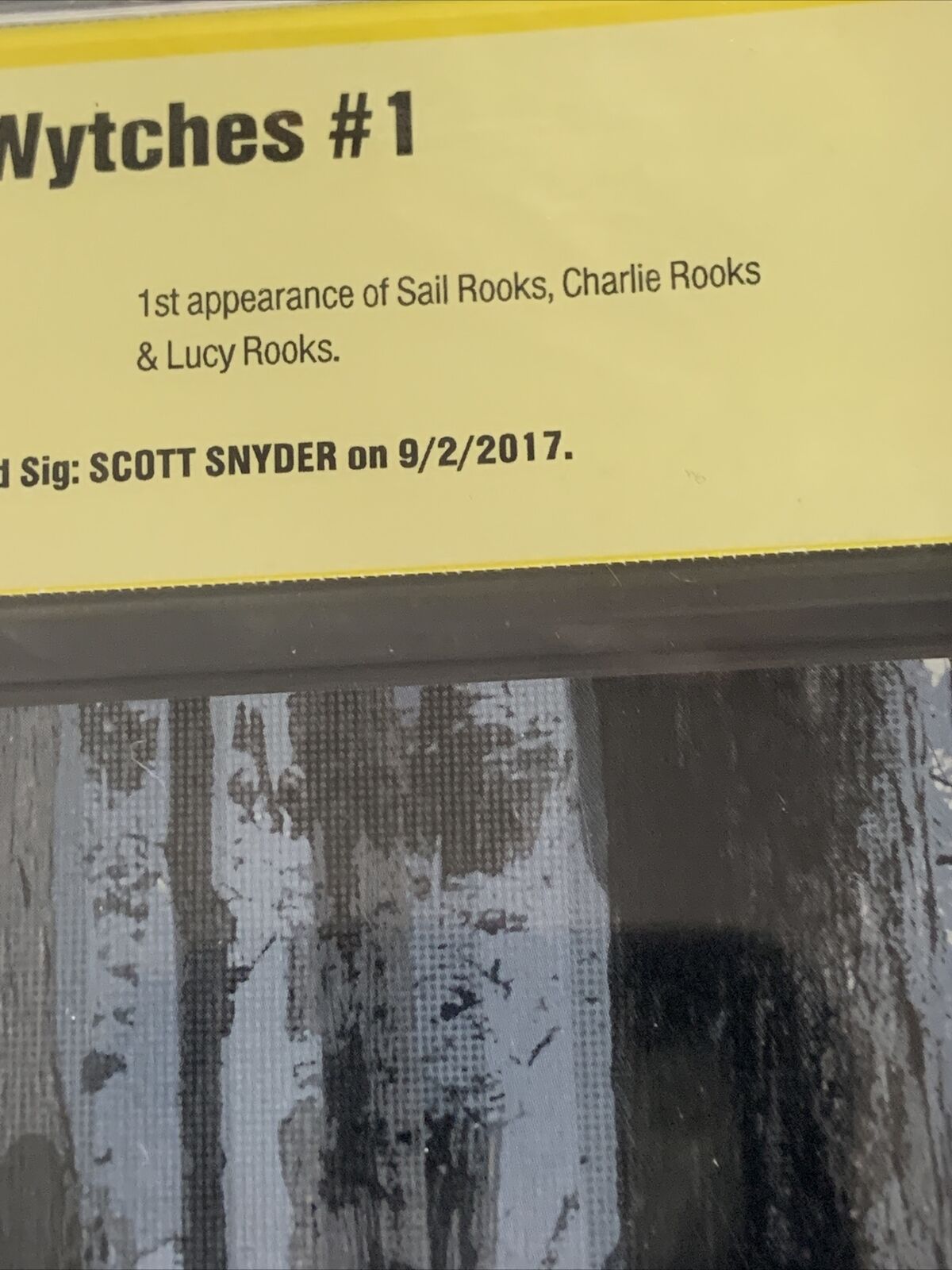 Wytches 1  Image Comics 2014 CBCS 9.6 SS Signed By Scott Snyder!