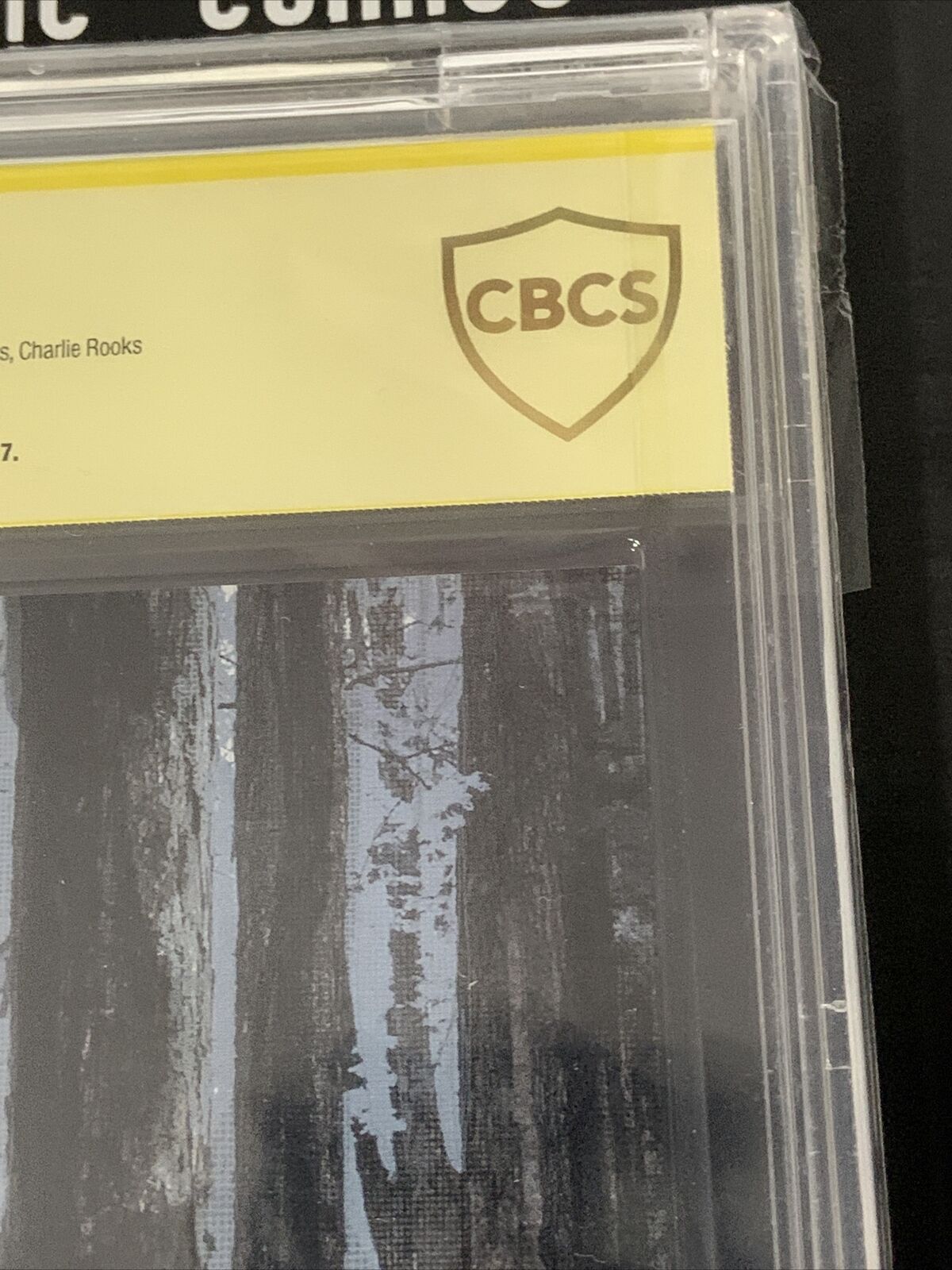 Wytches 1  Image Comics 2014 CBCS 9.6 SS Signed By Scott Snyder!
